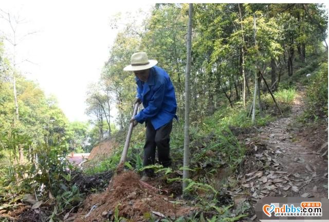镜台山林相改造，颜值提升几度？现场给答分-8.jpg