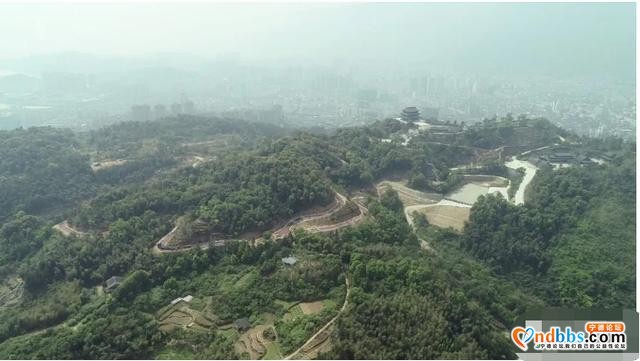 镜台山林相改造，颜值提升几度？现场给答分-11.jpg