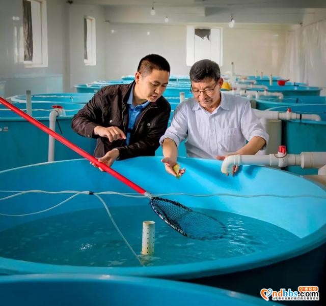 宁德市青联组织开展“学习有声”云端沙龙分享活动-4.jpg