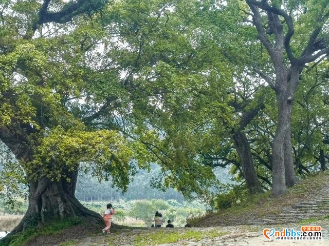 宁德 | 漫走霍童溪，云气诗滩 水韵贵村-8.jpg