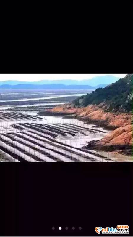 中国最美滩涂霞浦紫菜-1.jpg