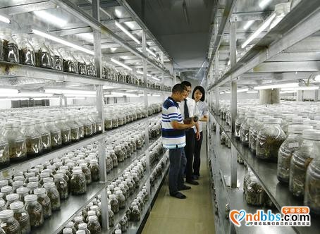 宁德农商银行：助推“造血扶贫”，助力打造乡村振兴宁德模式-1.jpg