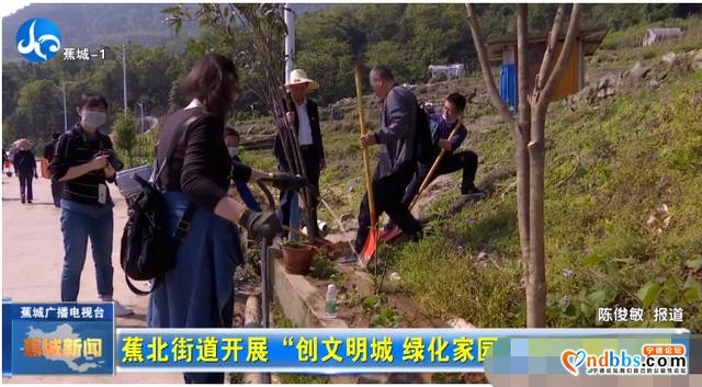 春风十里，不如植树有你-5.jpg
