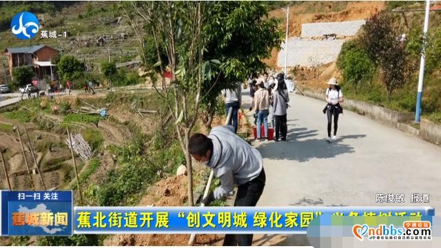 春风十里，不如植树有你-3.jpg