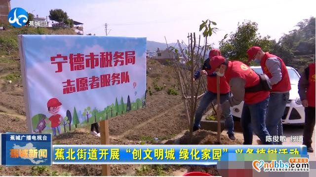 春风十里，不如植树有你-1.jpg