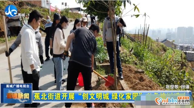 春风十里，不如植树有你-4.jpg