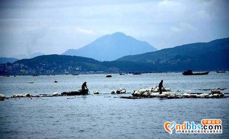 突发！两船相撞，夫妇双亡！事发宁德海域-1.jpg