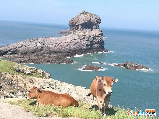 五一不远游？宁德这些海岛，安排一下！-3.jpg