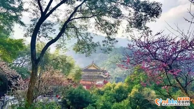 【宁德】蕉城，就这么大！-4.jpg