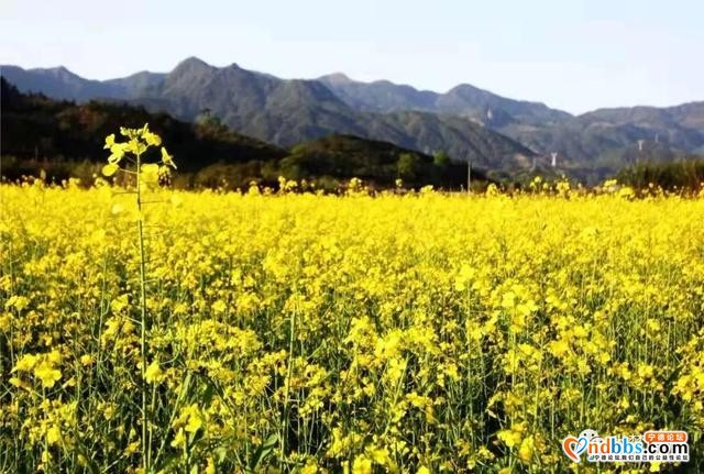 【宁德】蕉城，就这么大！-28.jpg