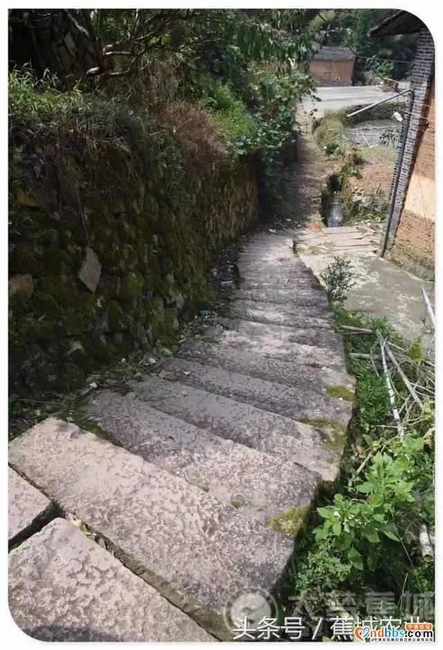 揭开蕉城这个村的“神秘面纱”-12.jpg