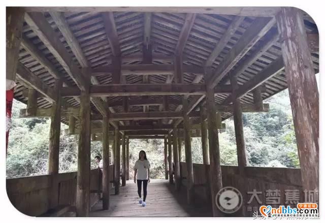 揭开蕉城这个村的“神秘面纱”-16.jpg