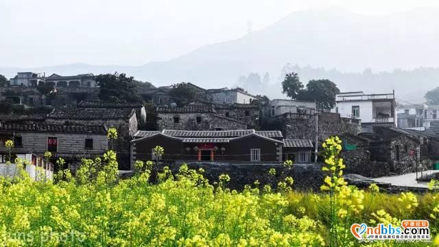 中央批了！蕉城这些村要发大财啦！每村100万....-3.jpg