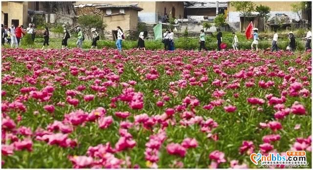 中央批了！蕉城这些村要发大财啦！每村100万....-6.jpg