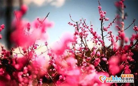 抓紧假期尾巴，去宁德这些地方看最炫民族风-5.jpg