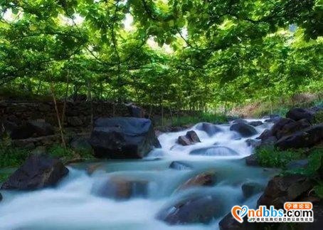 抓紧假期尾巴，去宁德这些地方看最炫民族风-13.jpg