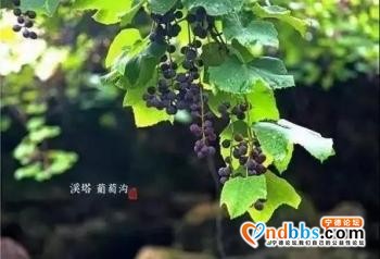 抓紧假期尾巴，去宁德这些地方看最炫民族风「组图」-14.jpg
