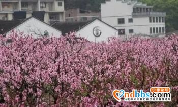 抓紧假期尾巴，去宁德这些地方看最炫民族风「组图」-11.jpg
