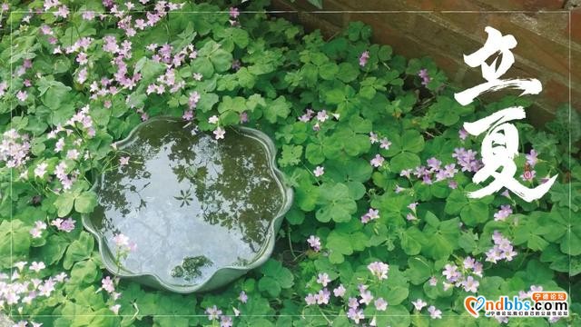 今日“立夏”，宁德热浪滚滚，最高气温都在30℃以上，不过明天的天气将......-4.jpg