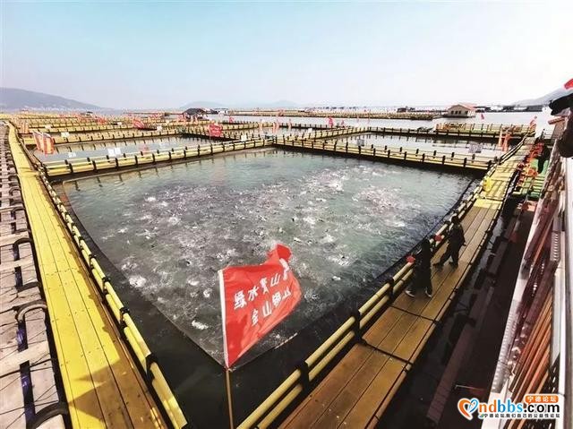 2020新春述年 | 你好，蕉城-15.jpg