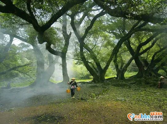 霞浦滩涂风光-4.jpg