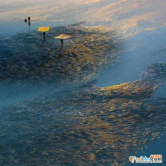 霞浦滩涂风光-10.jpg