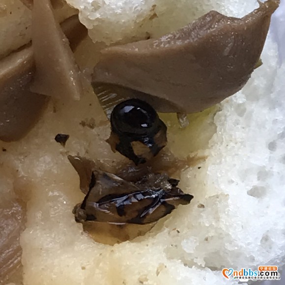 在万达2号门对门的郑师傅红糖馒头铺吃到半只蟑螂… 那么，剩下-3.jpg