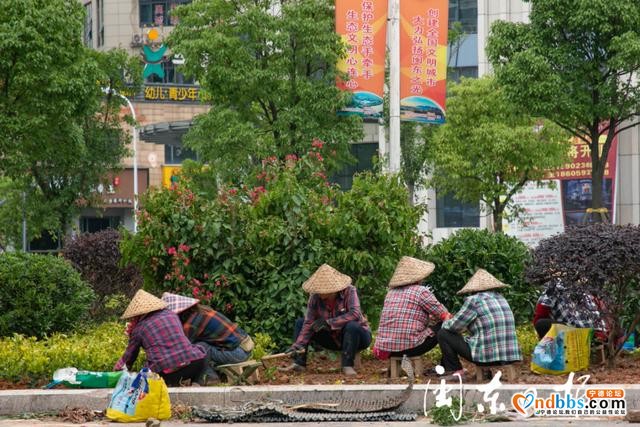 宁德市推进中心城区主要干道交叉口优化改造-6.jpg