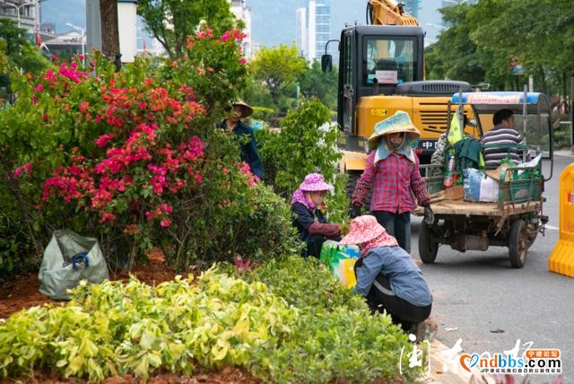 宁德市推进中心城区主要干道交叉口优化改造-4.jpg