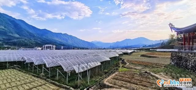 40分钟直达！复兴田园生活，宁德这个百年古镇要火了-21.jpg