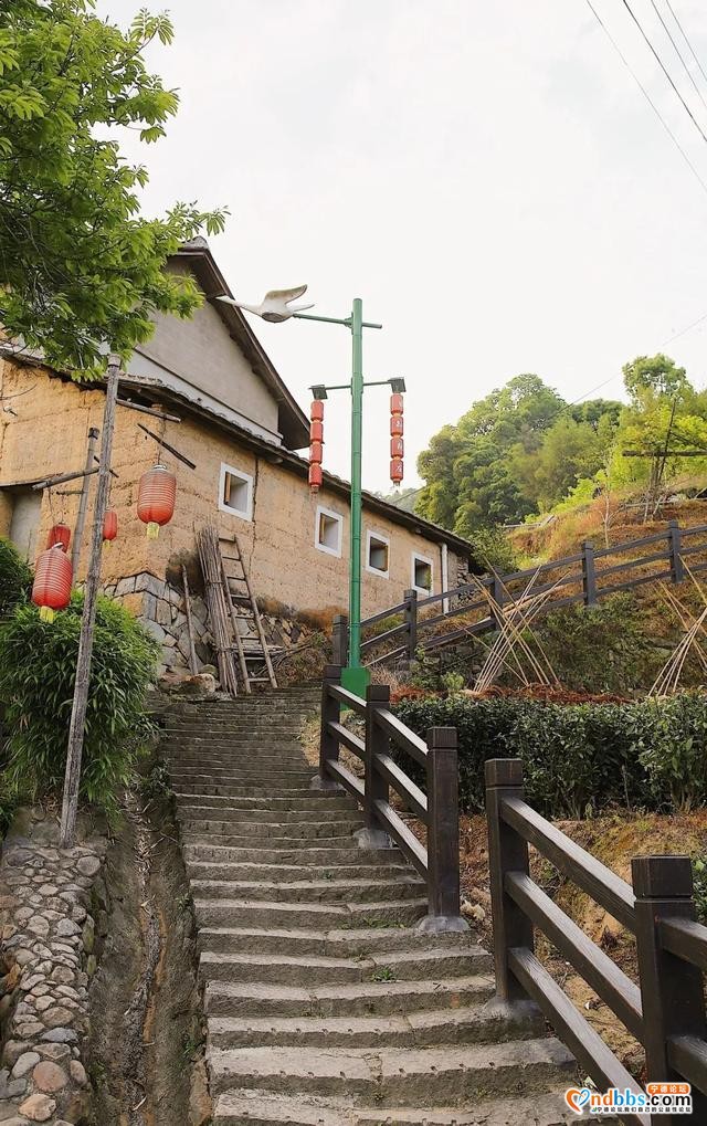 40分钟直达！复兴田园生活，宁德这个百年古镇要火了-39.jpg
