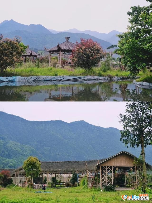 40分钟直达！复兴田园生活，宁德这个百年古镇要火了-52.jpg