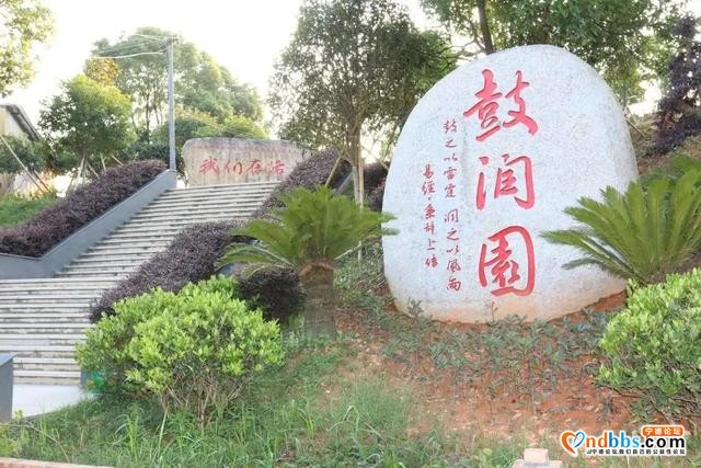 【决战决胜检察担当】宁德：检察长深入革命老区调研乡村振兴检察服务-2.jpg