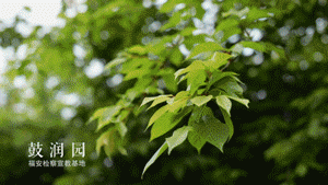 【决战决胜检察担当】宁德：检察长深入革命老区调研乡村振兴检察服务-3.jpg
