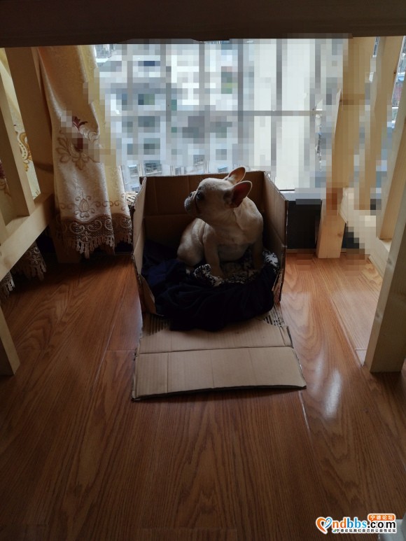 2018年二月，（招聘求职）（出租求租）（出售求购）专贴-1.jpg