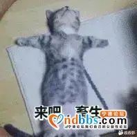 有没有那个大哥大姐知道蓝海啥时候有  就是蓝眼泪那  是每天-1.jpg