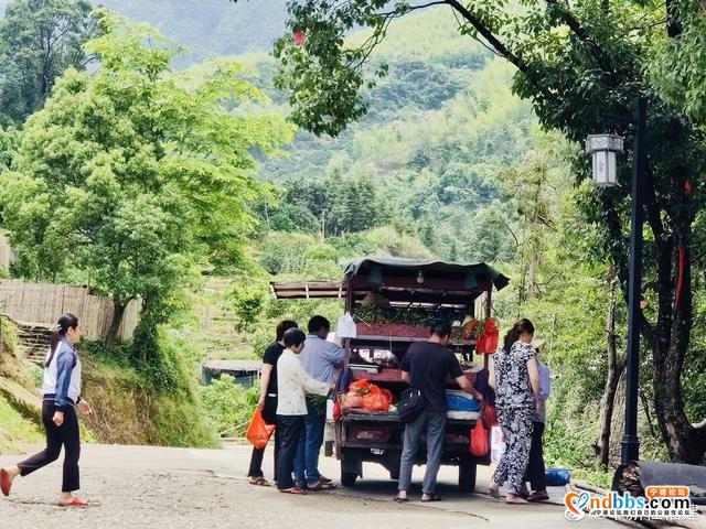 中新社福建分社赴蕉城区霍童镇八斗畲族村开展主题采访-5.jpg