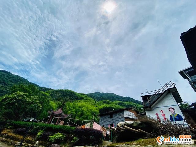 中新社福建分社赴蕉城区霍童镇八斗畲族村开展主题采访-9.jpg