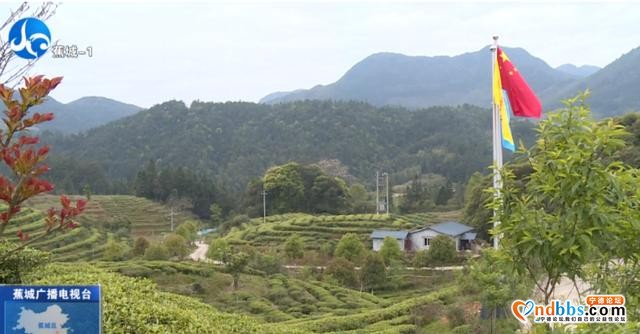 茶产业如何做大做强？蕉城出台新政策，条条都是干货-1.jpg