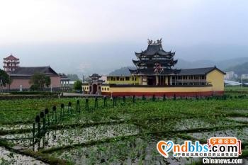 宁德古村落乡村旅游焕发新活力 青年返乡逐梦-1.jpg