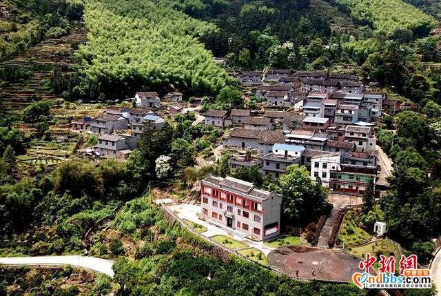 福建宁德青山绿水生态美-3.jpg