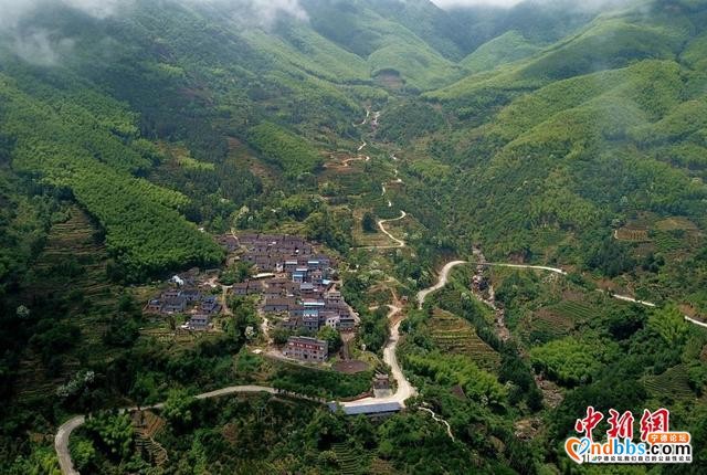福建宁德青山绿水生态美-10.jpg