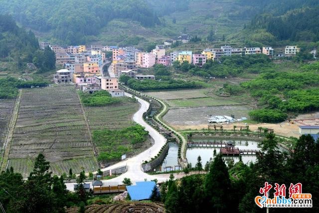 福建宁德青山绿水生态美-7.jpg