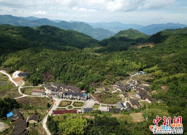 福建老区：绿水青山换新颜 产业兴村谱新篇-3.jpg