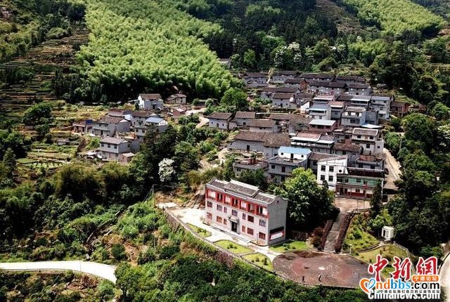福建老区：绿水青山换新颜 产业兴村谱新篇-2.jpg