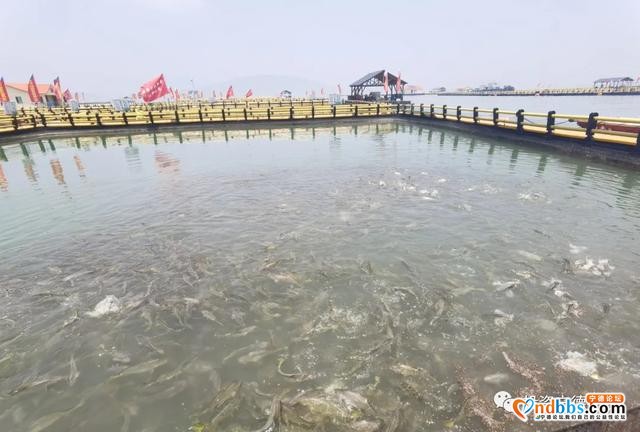 宁德又有两位县区领导上网直播带货 海量圈粉 提升农产品销售量-2.jpg