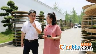 宁德又有两位县区领导上网直播带货 海量圈粉 提升农产品销售量-10.jpg