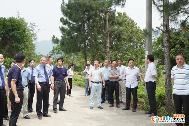 宁德市人大常委会调研组专题调研公益诉讼检察工作-5.jpg
