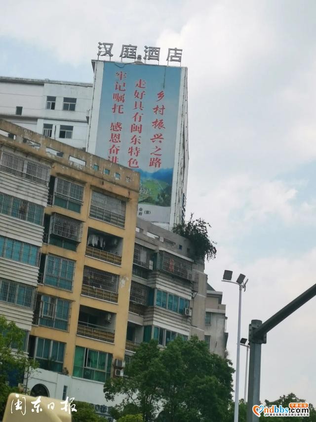 宁德新闻红黑榜?丨哪里不对拍哪里！@宁德人一起来“找茬”哦-4.jpg