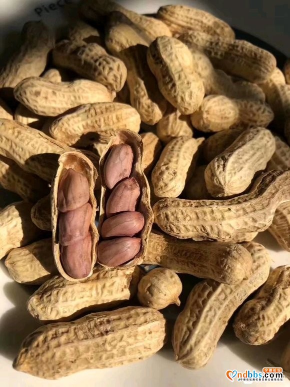 龙岩湿烤花生客家传统工艺 茴香，甘草，桂皮，八角……等中草-3.jpg